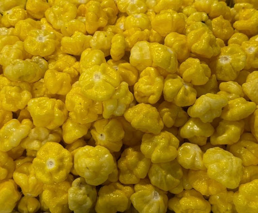 Gold Rush