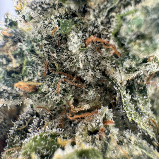OG Bongwater