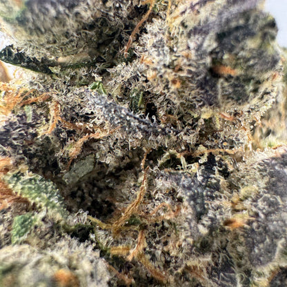 Blue Zipper