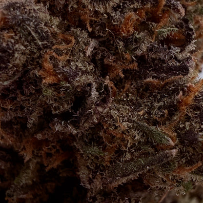 Grapefruitz