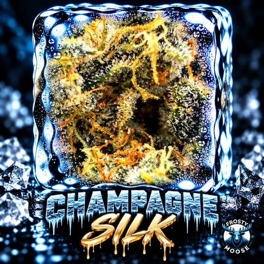 Champagne Silk