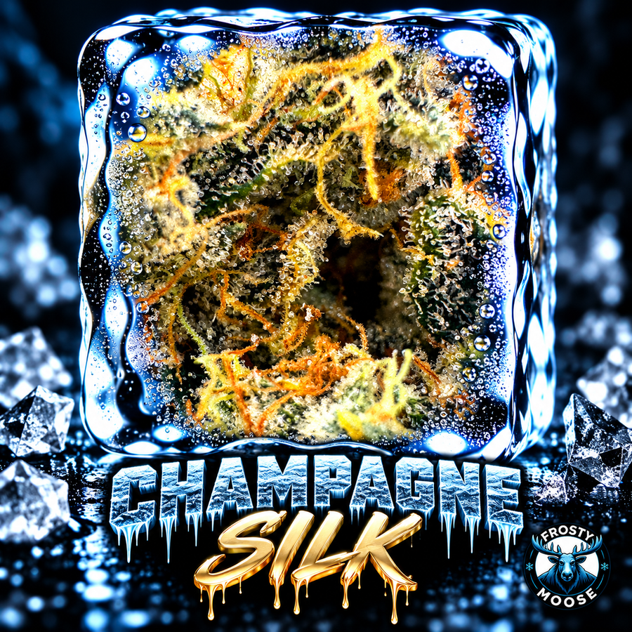 Champagne Silk