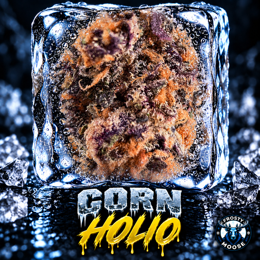 Corn Holio