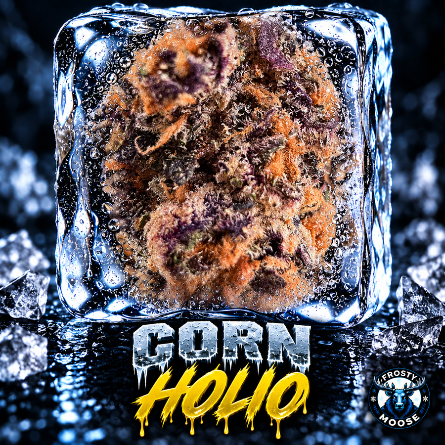 Corn Holio