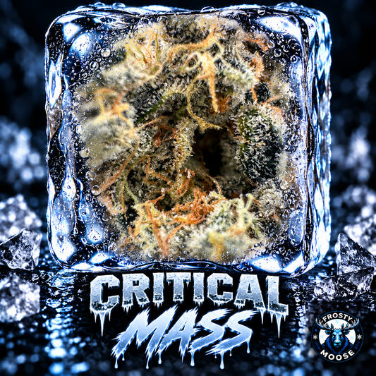 Critical Mass