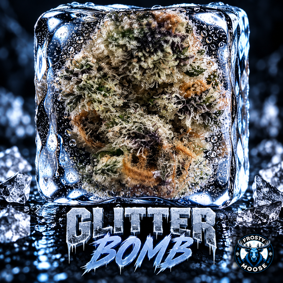 Glitter Bomb