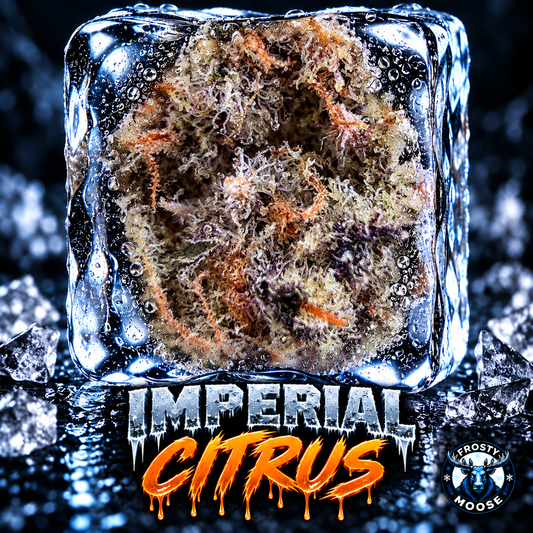 🎁 Imperial Citrus - Free 3.5g Gift