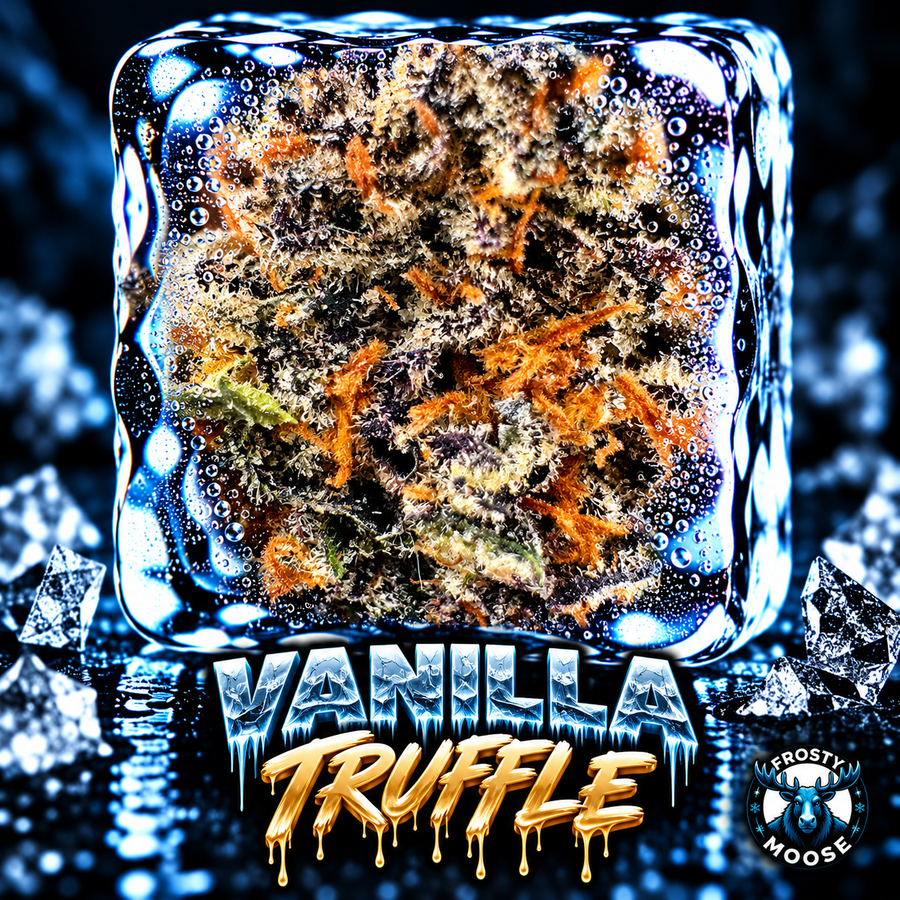 Vanilla Truffle