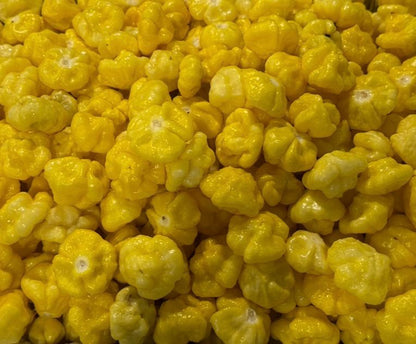 Gold Rush