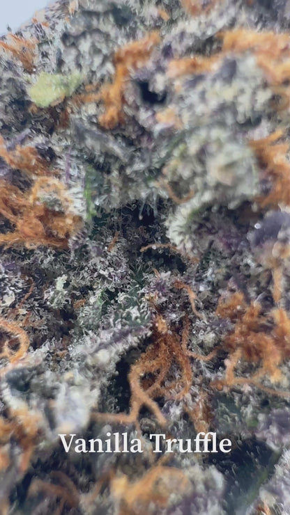 Vanilla Truffle
